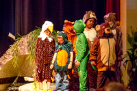 Students dressed as an eagle, toad, lizard, and bear.